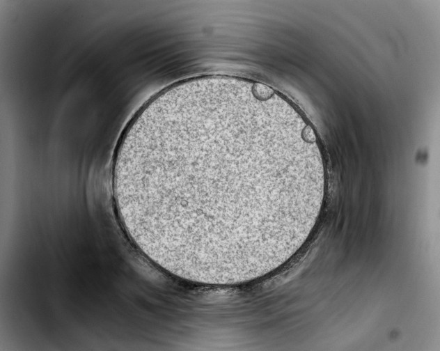 X0000103450891200810241142