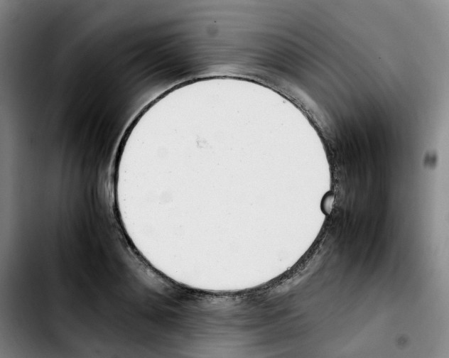 X0000103450892200810241142