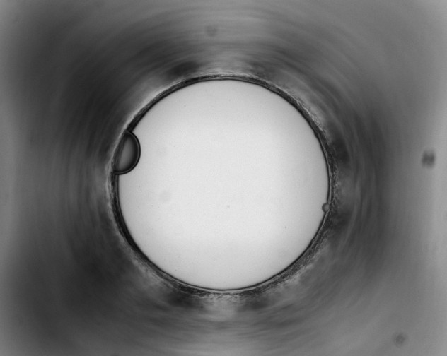 X0000103450893200810241142