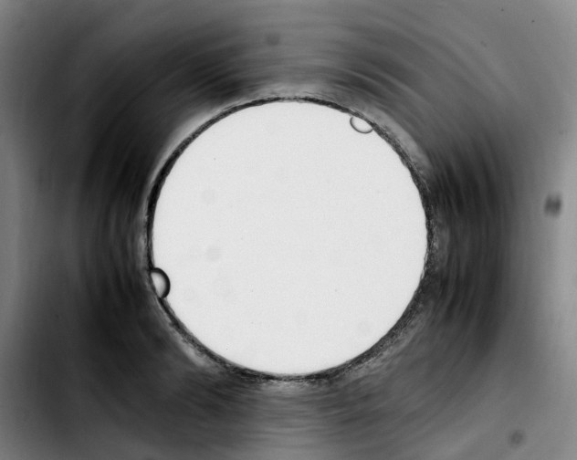 X0000103450894200810241142