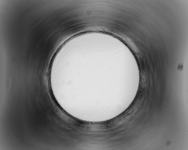 X0000103450895200810241142