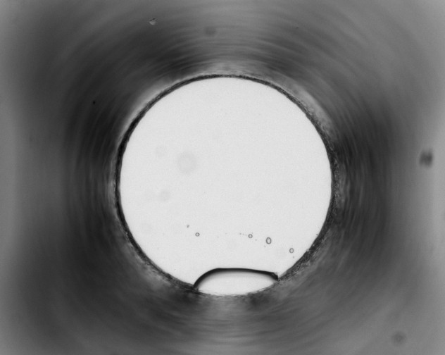 X0000103450896200810241142