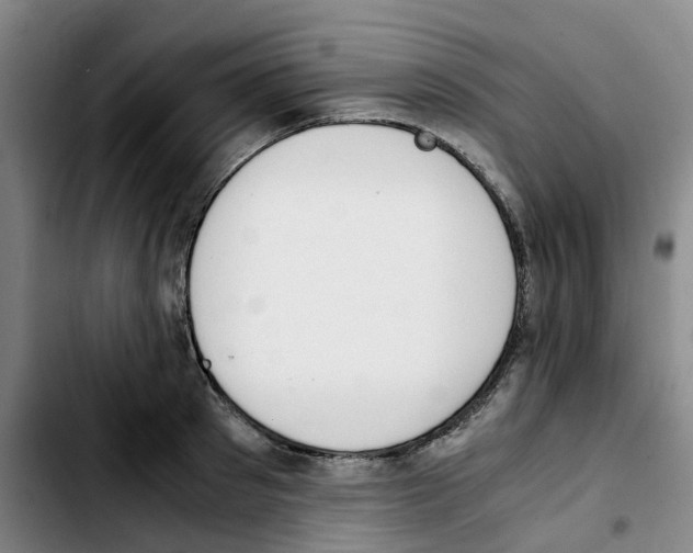 X0000103450897200810241142