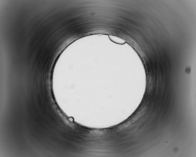 X0000103450898200810241142