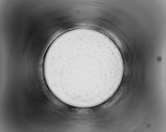 X0000103450899200810241142