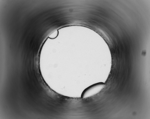 X0000103450900200810241142