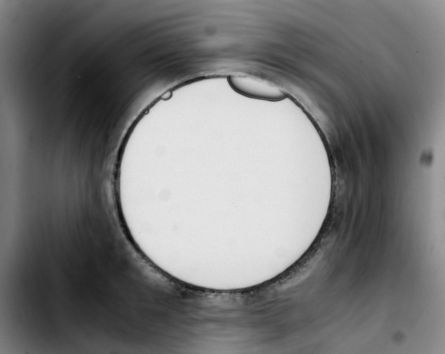 X0000103450901200810241142