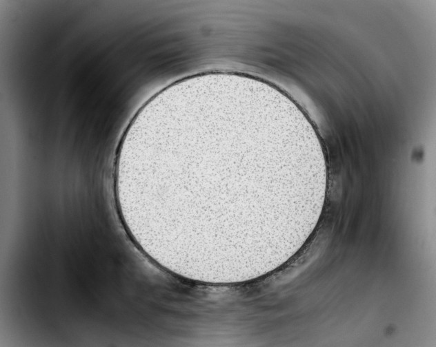 X0000103450903200810241142