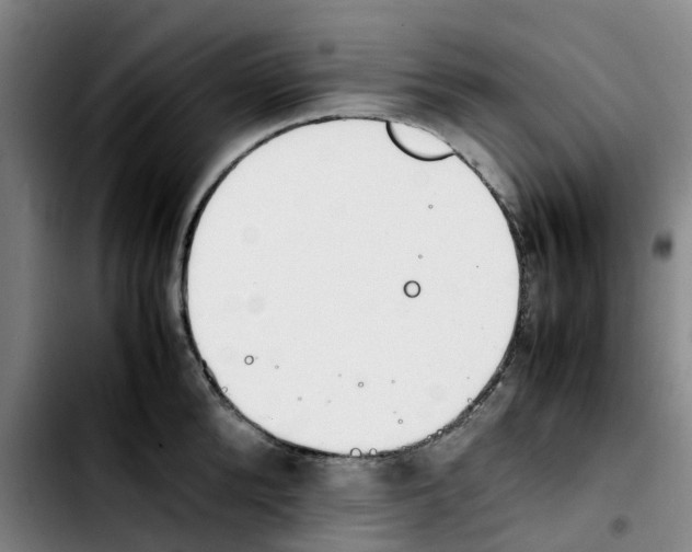 X0000103450904200810241142