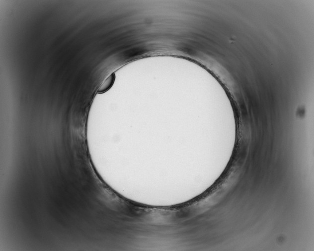 X0000103450905200810241142