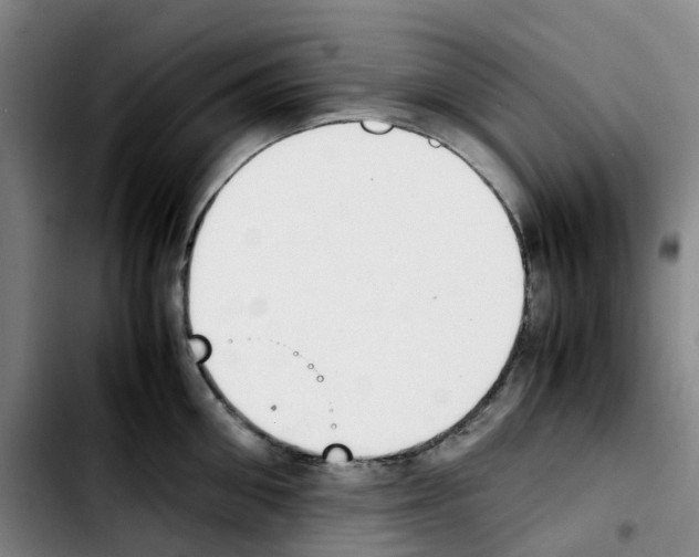 X0000103450906200810241142