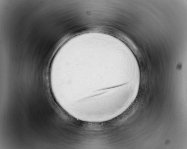 X0000103450907200810241142