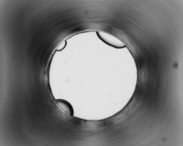 X0000103450908200810241142