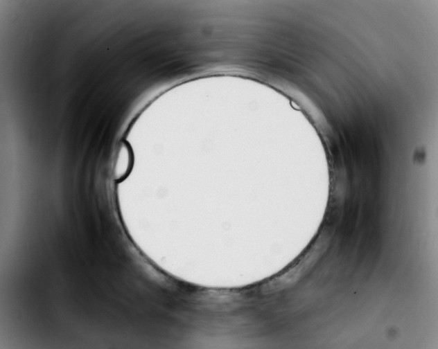 X0000103450910200810241142