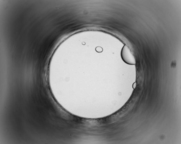 X0000103450911200810241142