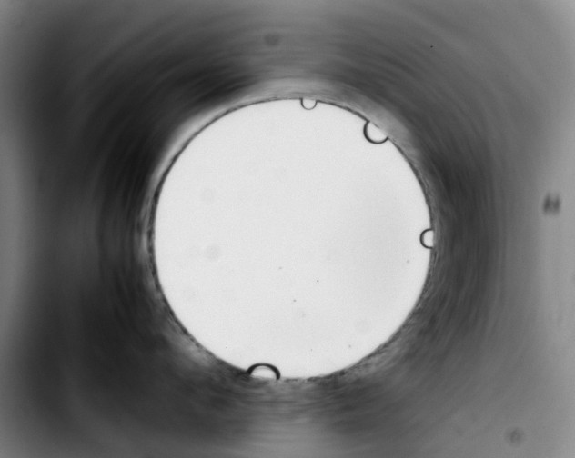 X0000103450912200810241142