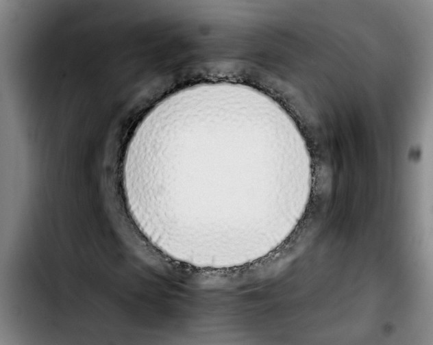 X0000103450913200810241141