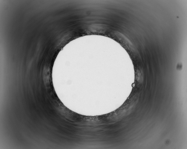 X0000103450915200810241141