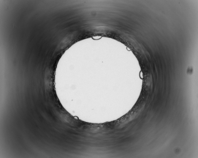 X0000103450916200810241141