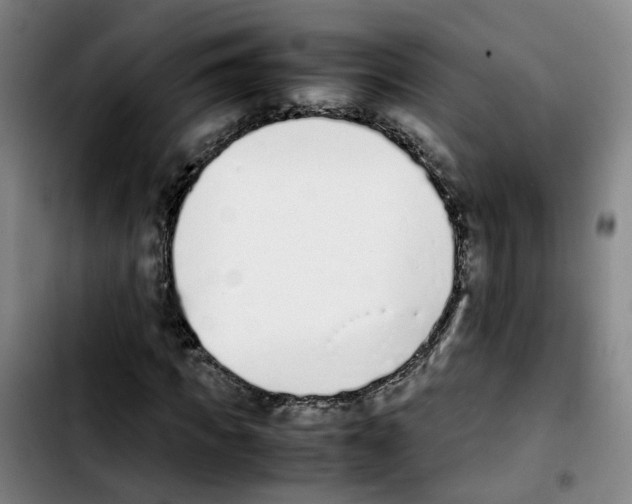 X0000103450917200810241141