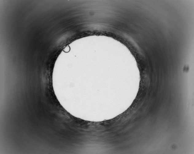 X0000103450918200810241142