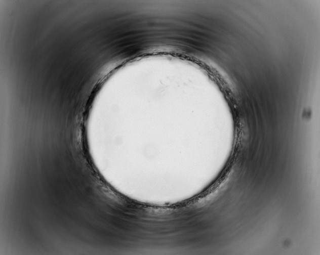 X0000103450921200810241142