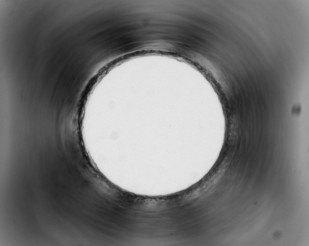 X0000103450923200810241142