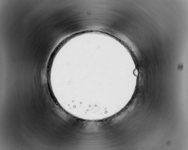 X0000103450924200810241142