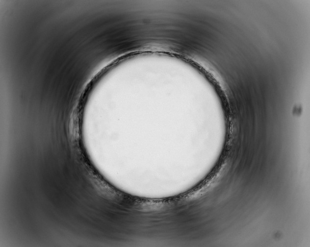 X0000103450925200810241142