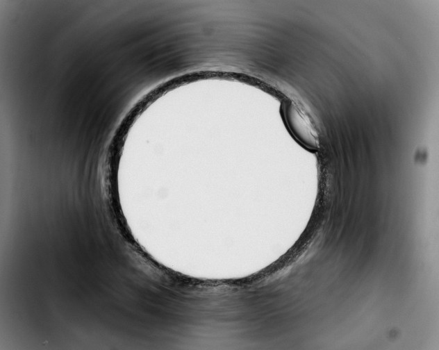 X0000103450926200810241142