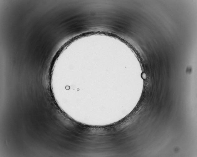 X0000103450927200810241142