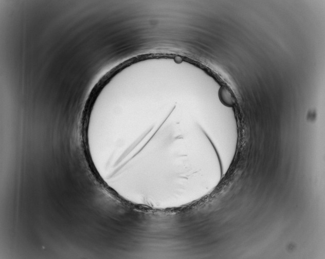 X0000103450928200810241142