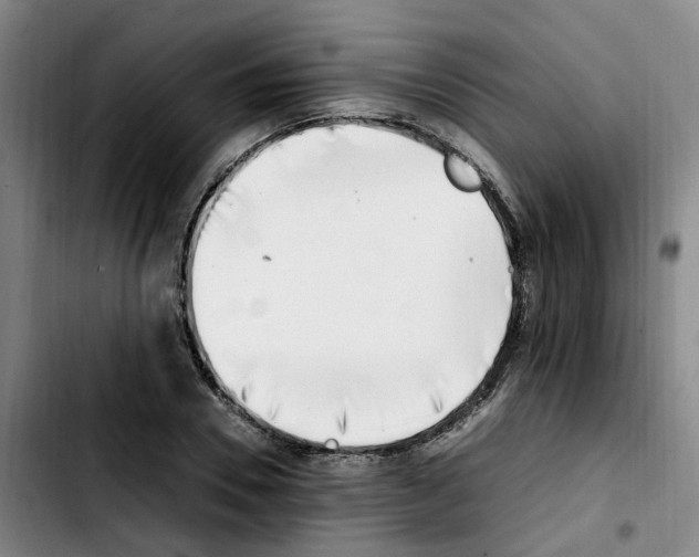 X0000103450930200810241142