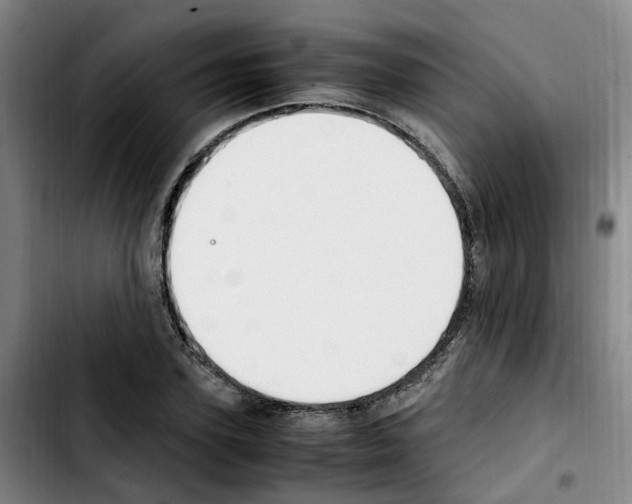 X0000103450931200810241142