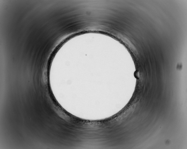 X0000103450934200810241142