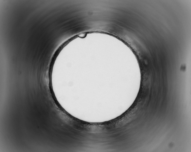 X0000103450936200810241142