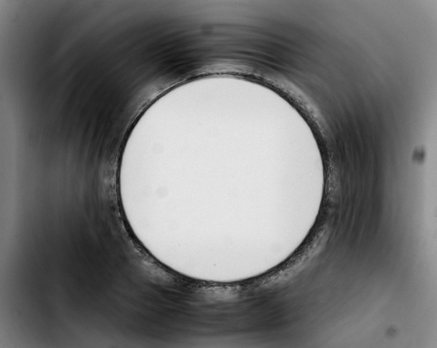 X0000103450937200810241142