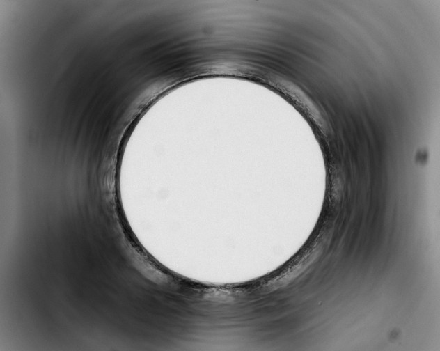 X0000103450938200810241142