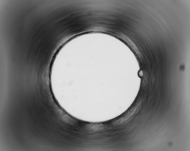 X0000103450939200810241142