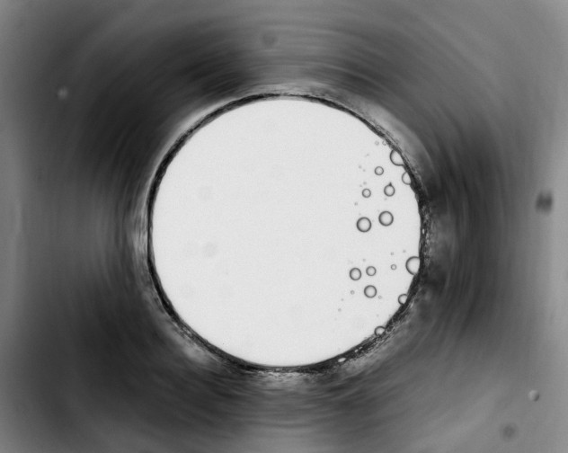 X0000103450940200810241142