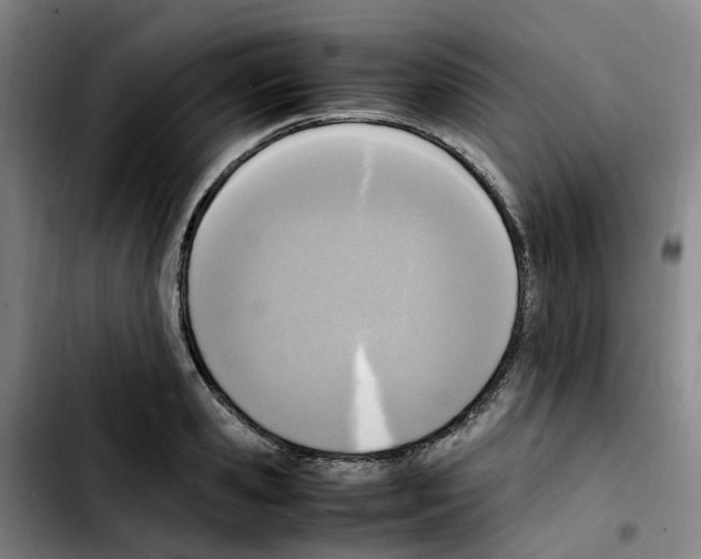 X0000103450941200810241142