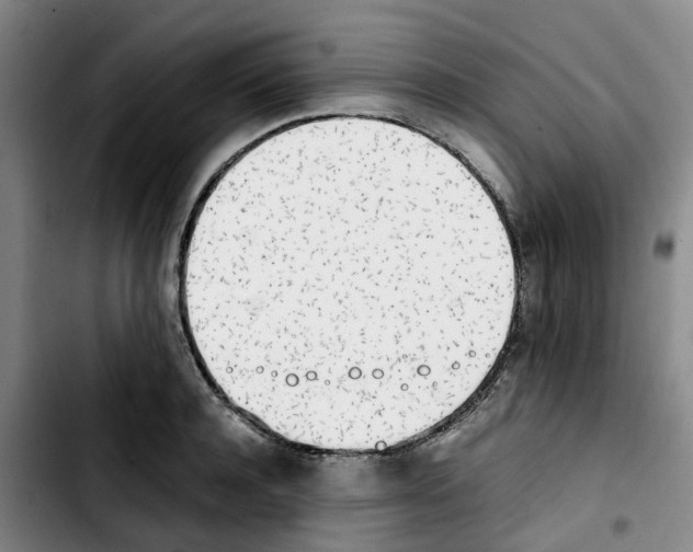 X0000103450944200810241142