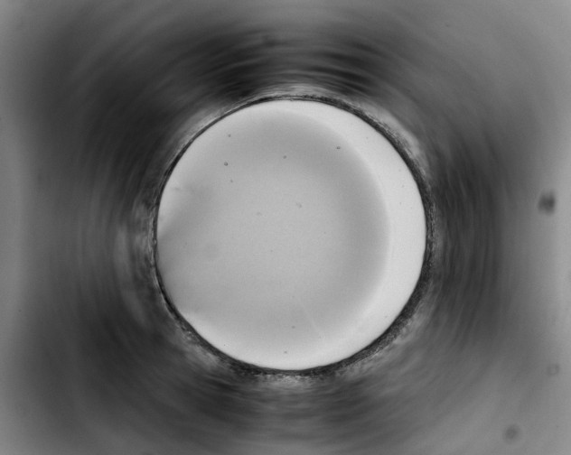 X0000103450945200810241142