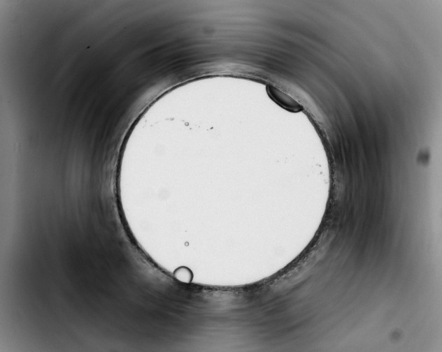 X0000103450946200810241142