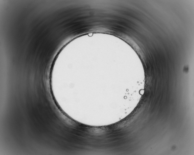 X0000103450947200810241142