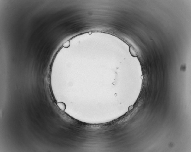 X0000103450948200810241142