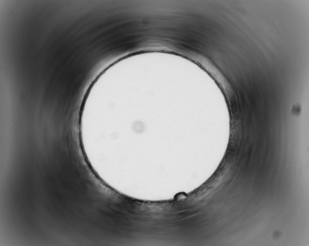 X0000103450951200810241142