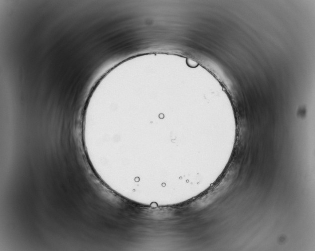 X0000103450952200810241142