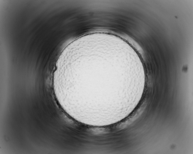 X0000103450953200810241142