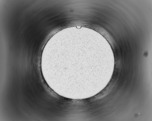 X0000103450954200810241142